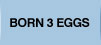 born3 eggs