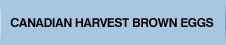 Canadian Harvest Brown eggs