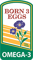 BORN 3 EGGS