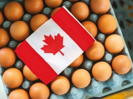 2020_Egg-Farmers-of-Canada_Annual-Report-95
