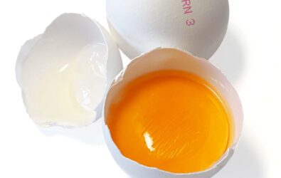 Egg: How much is too much? Find out what the experts say, get serving sizes, and reasons to eat