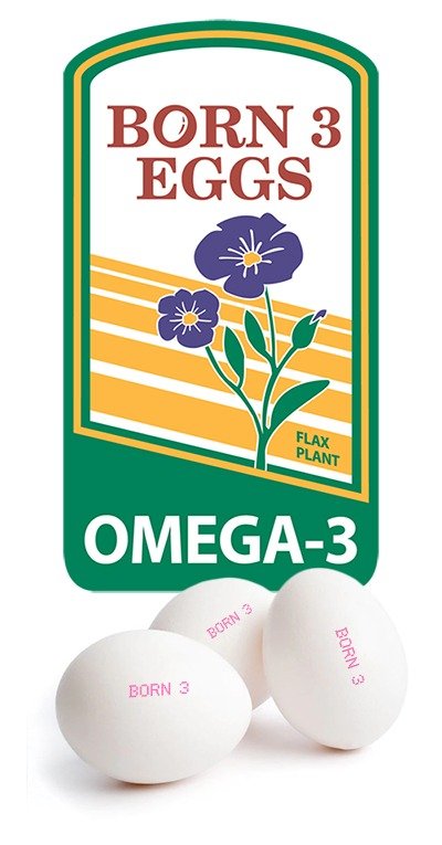 3eggs 3eggs