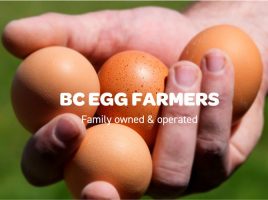 BCegg