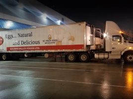 Golden Valley Foods