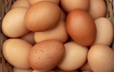 Everything You Need To Know About Eggs