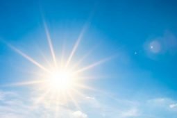 The One Major Effect Vitamin D Has On Your Gut