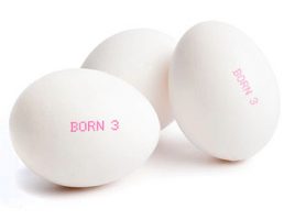 whteggs