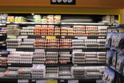 Why do we refrigerate eggs and milk while other countries don’t?